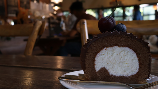 Chocolate Log Cake